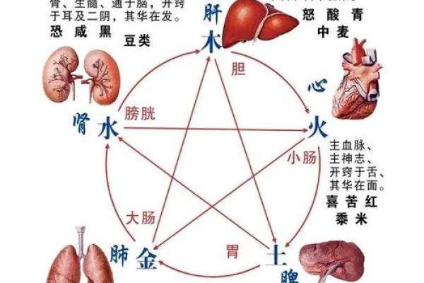志在五行中代表的含义