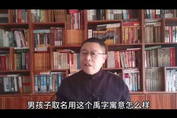 禹姓起名技巧：如何为宝宝取一个好听的禹字名？