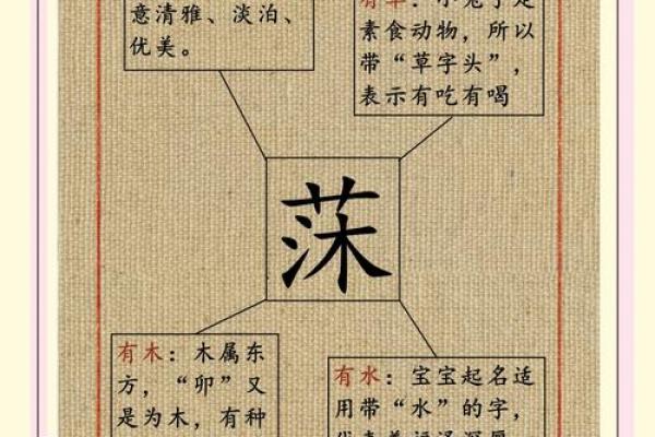 子沫名字的内涵：从名字看传统文化与现代审羿