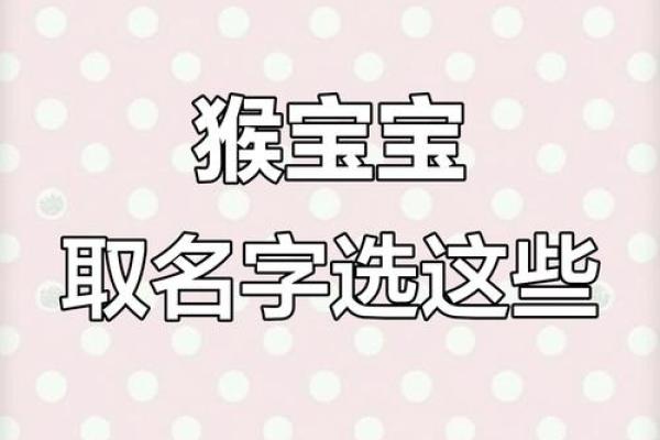 邓氏猴宝宝名字的寓意精选