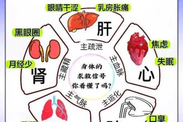 风水学中的气场与人体健康的关联分析
