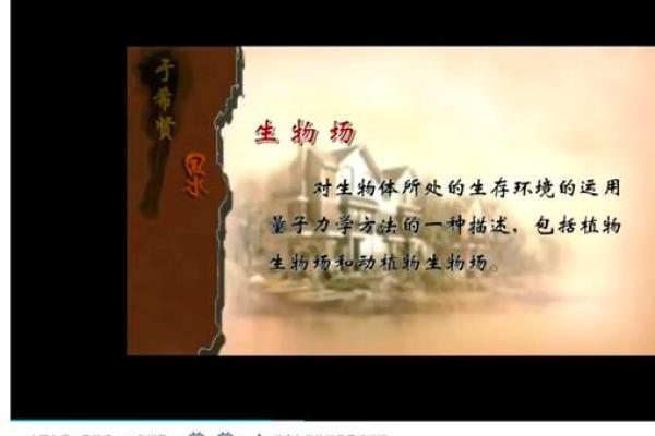 风水学中的气场与人体健康的关联分析
