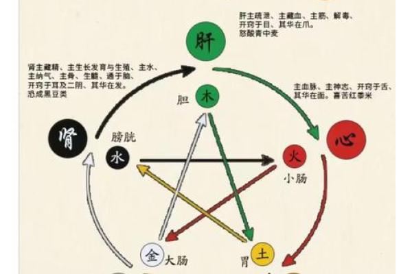 如何理解五行属性