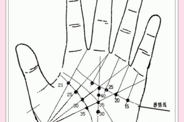 手相横竖纹：揭秘你的运势与性格