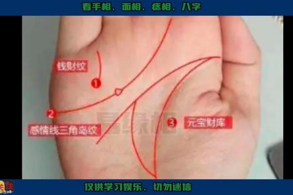 手相横竖纹：揭秘你的运势与性格