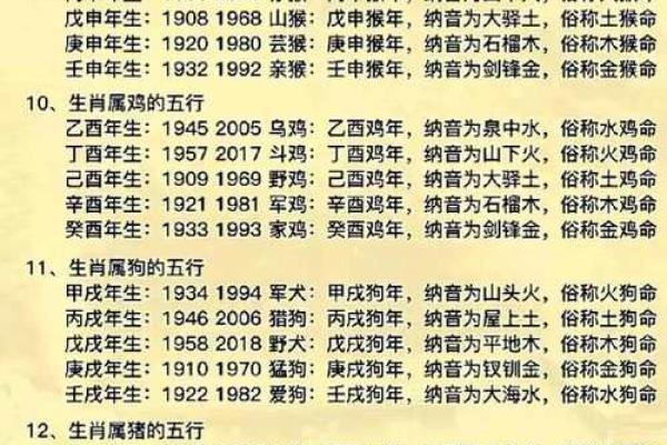 五行分析：属什么命