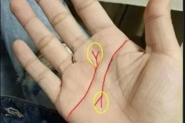 离婚手相破解大法：告别不幸，开启新生活
