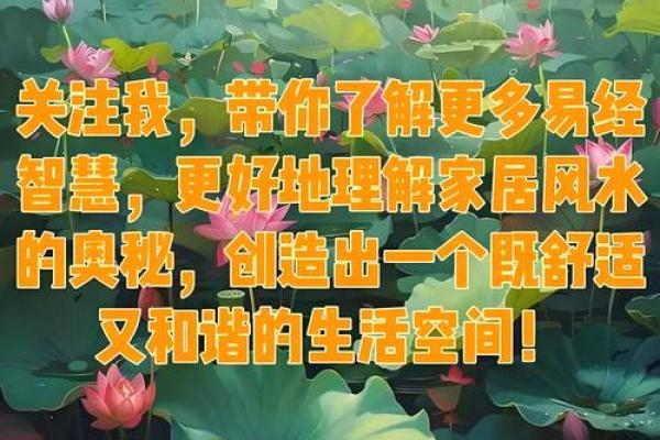 松江区风水学初探：掌握基础知识让生活更顺畅