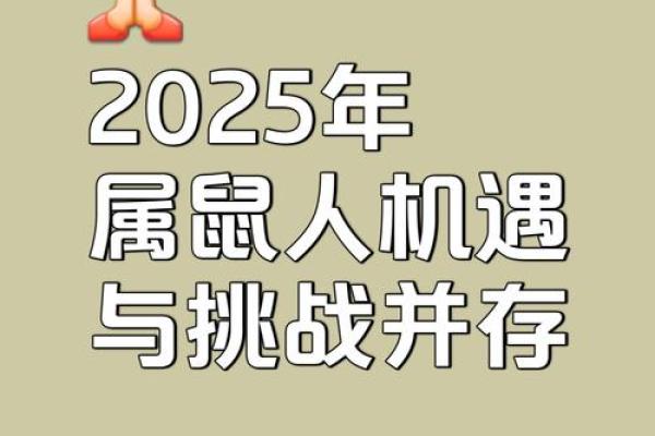 属鼠人今日运势：挑战与机遇并存