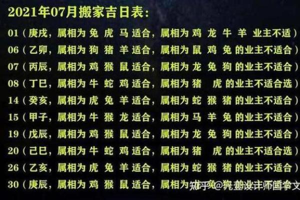 属鼠人今日运势：挑战与机遇并存