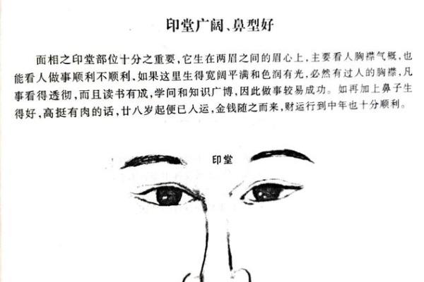 宽鼻面相解析：财运亨通、事业有成之人面相特征