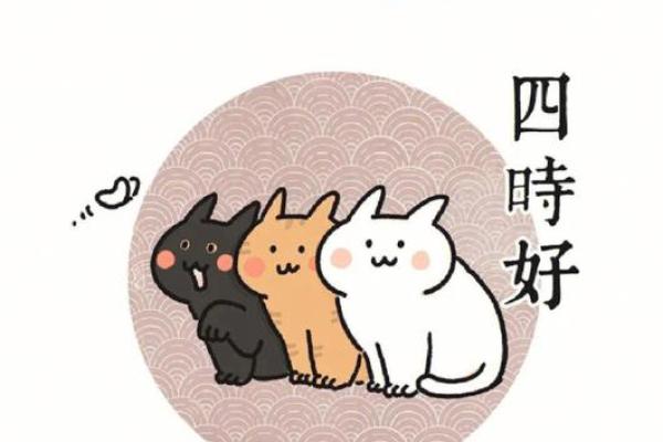 名字如橘，温暖又清新——橘姓取名案例分枿