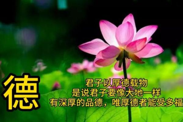 何瑞邦风水学解析：打造和谐居住环境的秘诀