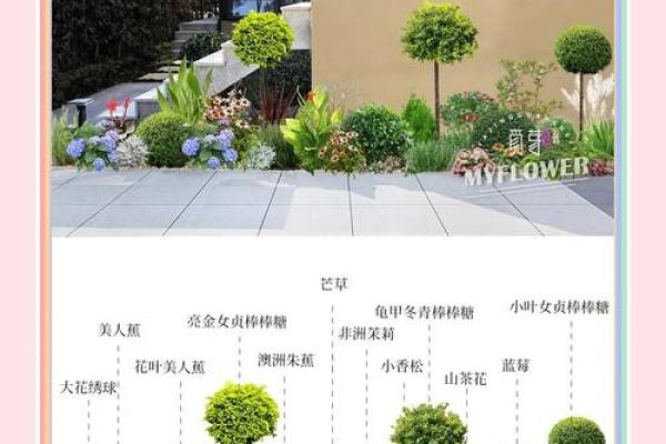 庭院植物在风水学中的重要性与布局技巧