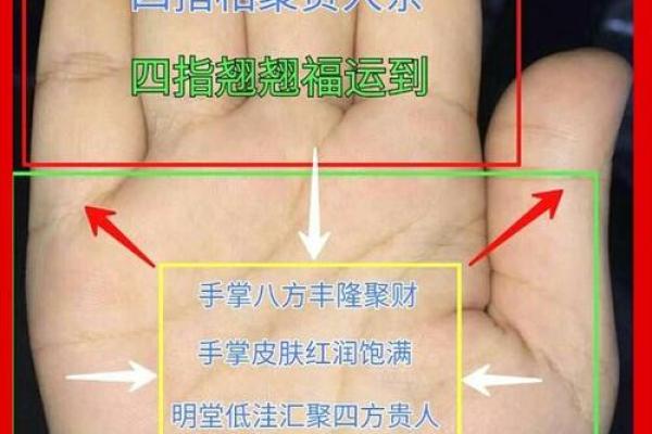 手相大师揭秘刘强东：运势如何，命运几何？