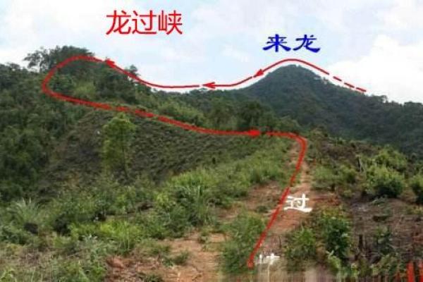 探索风水学中的龙脉与其对命运的影响