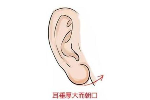 家居风水新发现：耳朵位置决定家庭和谐，不容忽视！