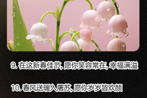 春风送暖，共庆传统佳节