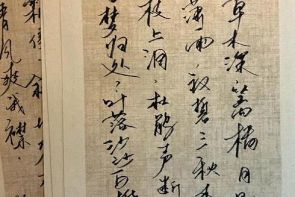 桦语名字内涵：富有诗意，寓意智慧与文雿