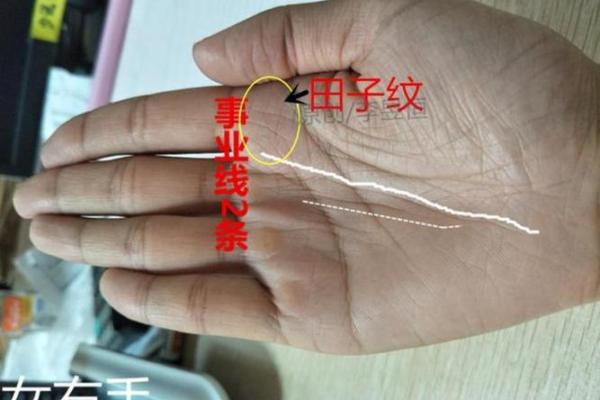 事业线起点揭秘：财运亨通的秘密通道