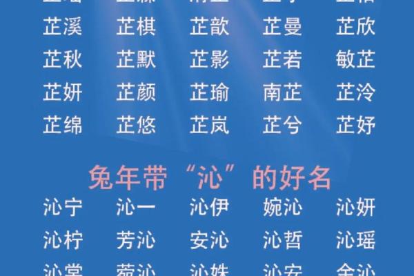 喊金：探寻名字背后的独特寓意