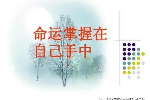 一眼洞穿命运：终南派命理实战指南