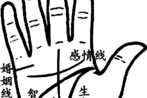 手掌上的未来，解锁人生奥秘