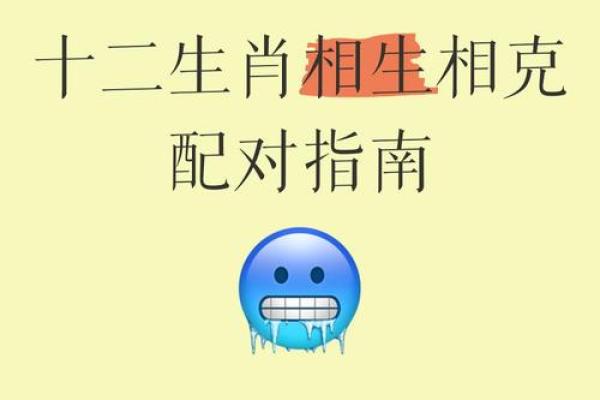 生肖相克大揭秘：地支相克背后的秘密