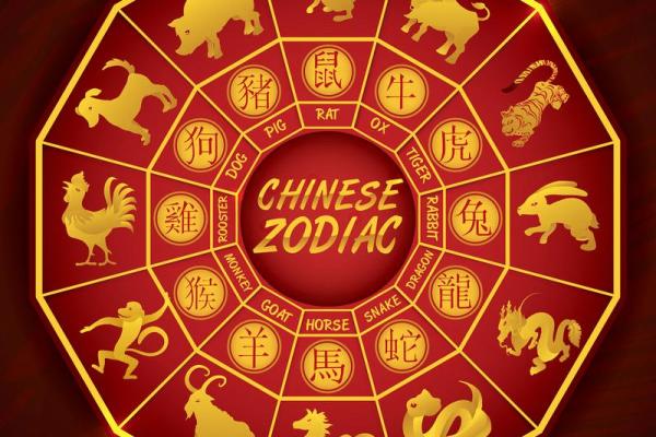 生肖运势：财运与感情运势详解