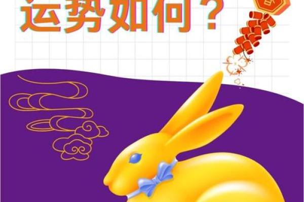 明日属兔人的运势走向揭秘