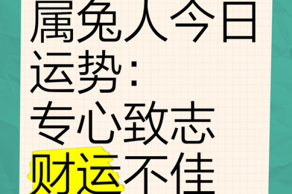 明日属兔人的运势走向揭秘