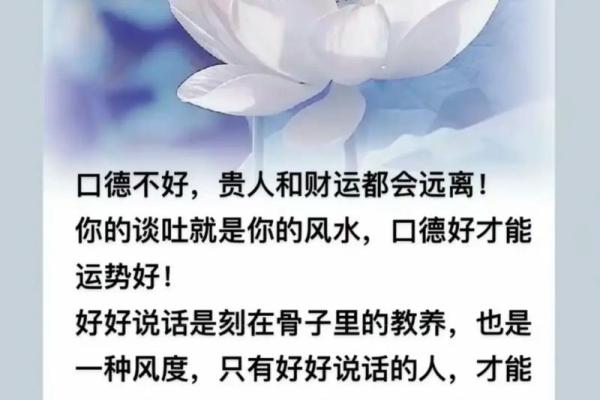 掌中运势，揭秘你的爆款人生