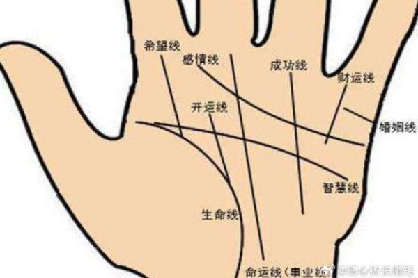惊！手相揭秘：终身不变的命运密码