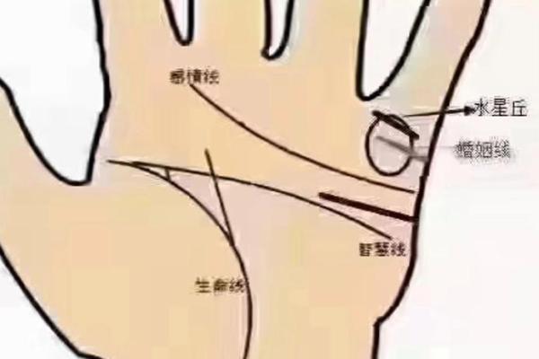 手上藏秘密，算命还是看手相？真相大揭秘！