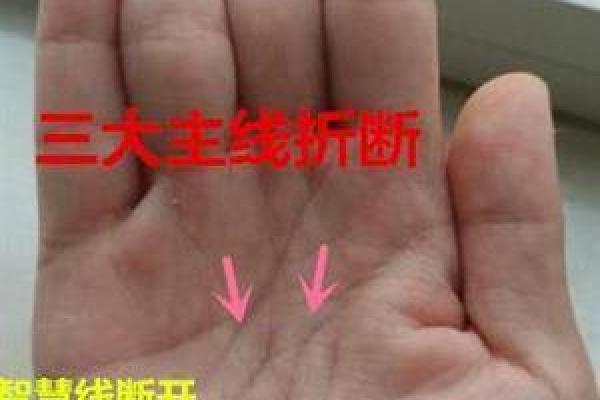 手中藏运势，一招看穿未来！