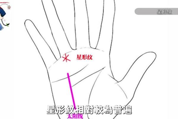 手掌小段纹揭秘：命运密码一触即发