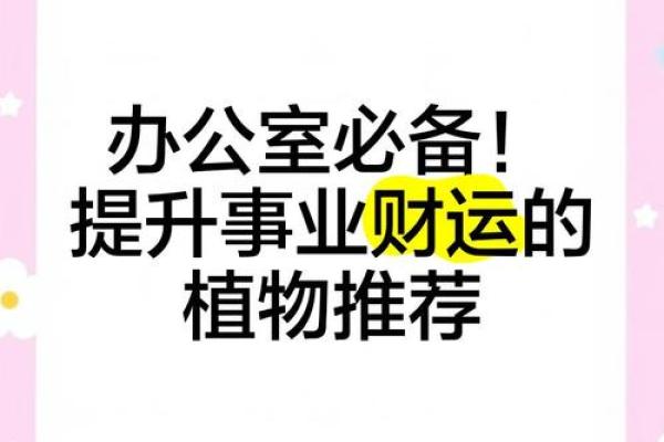 门面房办公室风水秘籍：财运亨通、事业兴旺必看！