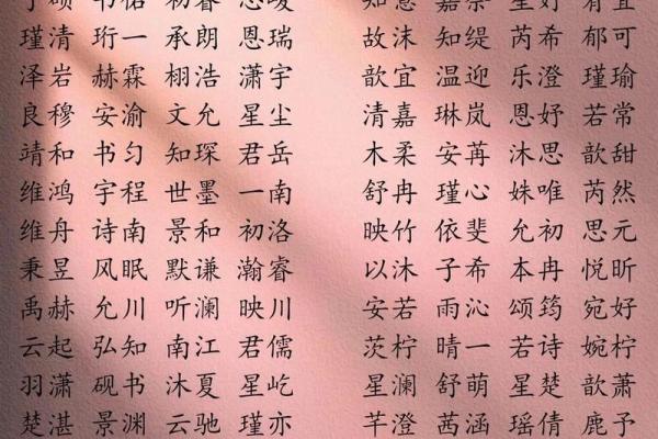 王子女宝宝，寓意美好的名字推荐