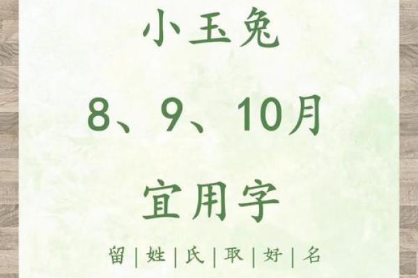 如何选择带萧字的公司名字提升品牌辨识度