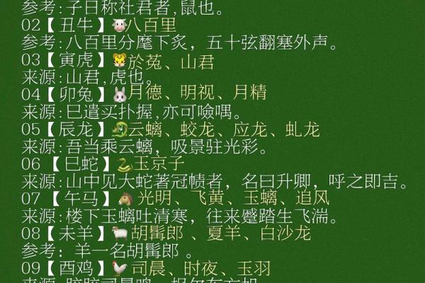 子鼠腾飞：揭秘十二生肖中气之秘