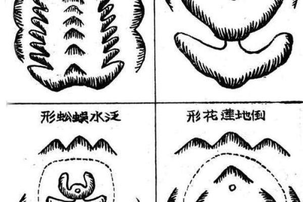 风水学中的阴宅朝山图与家族运势的关系