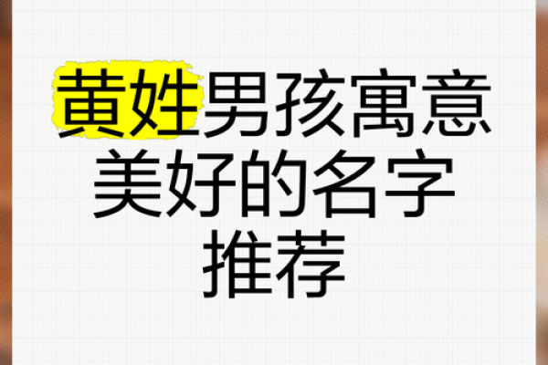 黄姓属鸡男孩起名：金鸡展翅，智慧少年