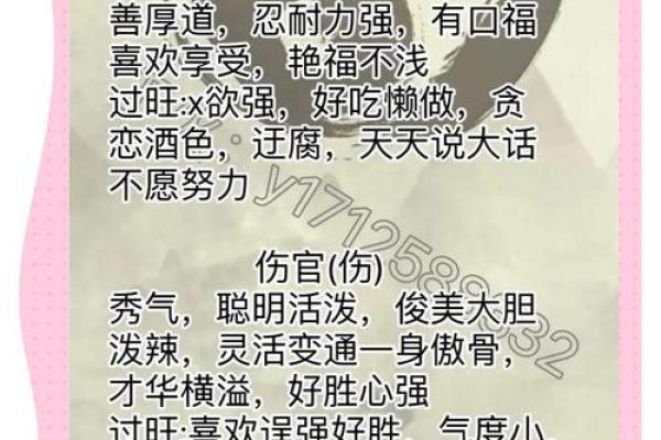 吉祥寓所：揭秘姓名中的运势奥秘，一探名字背后的运势力量
