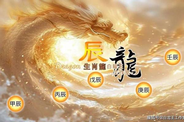 地支辰：探寻古代星象学的智慧结晶
