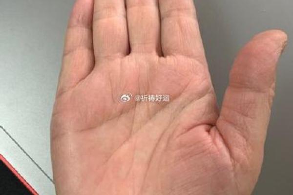 川字掌秘籍：激活运势的神奇掌法