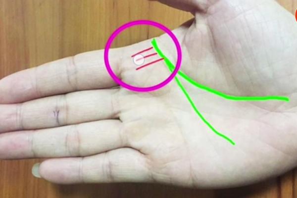 孤独手相揭秘：看手识人心，你的孤独密码是什么？