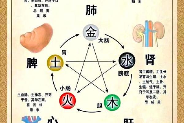 探秘五行与语言的神秘关系