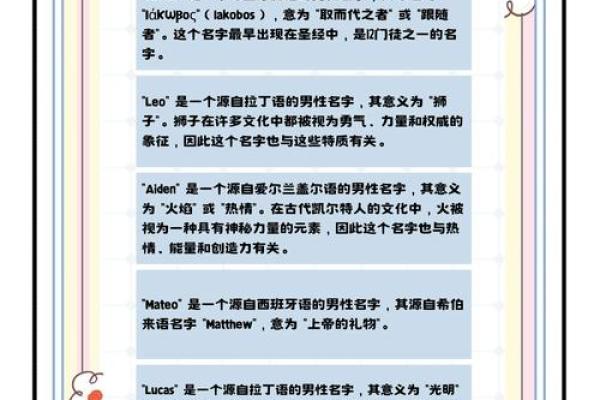 毛宝宝英文名字精选