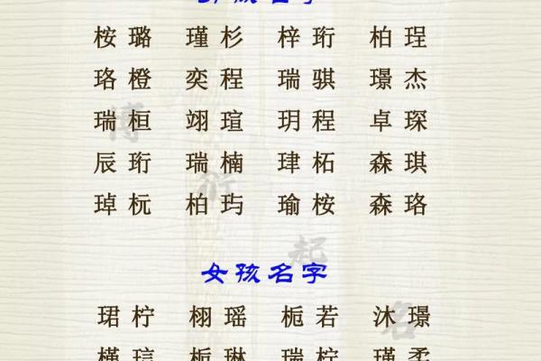 毛宝宝英文名字精选