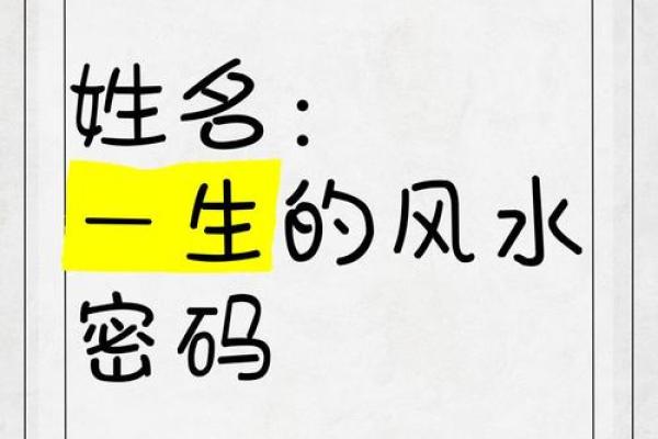 王琼：解析名字中的运势密码，探寻姓名背后的美好寓意